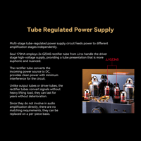 Cayin Soul 170HA variant 14