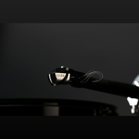 DS Audio Grand Master Extreme variant 7