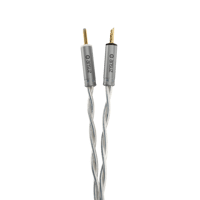 Ansuz Acoustics Speakz - Steel variant 2