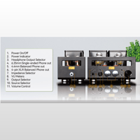 Cayin HA-300MK2 variant 14