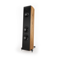 Acoustic Energy corinium variant 19