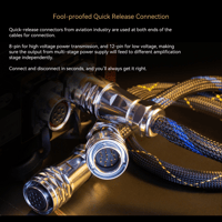 Cayin Soul 170HA variant 13