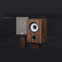 ThivanLabs Fullrange 10 – V22 variant 1