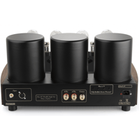 Mastersound PF100 litz(coppia) variant 2