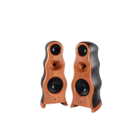 Zingali Acoustics Evo Client 3.15 variant 1