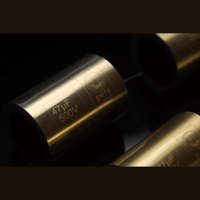 SW1x Audio Capacitors variant 6