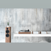 Pro-ject Audio Systems - USA Speaker Box 15 DS2 variant 4