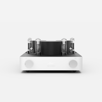 Fezz Audio Silver Luna Prestige variant 13