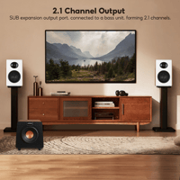 Aiyima AIYIMA S600 - EU Warehouse Ship variant 5