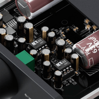 Fosi Audio SparkoS Labs SS3602, Burson V7, MUSES02, OPA2134PA variant 10