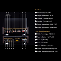 Cayin Soul 170HA variant 34