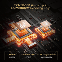 Aiyima AIYIMA A80 variant 6