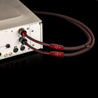 AudioQuest Brave Heart Full-Range variant 10