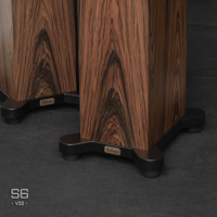 ThivanLabs S6 – V22 variant 6