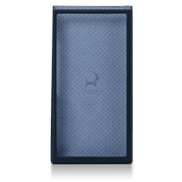 Astell & Kern PD20 Case variant 5