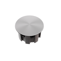 Perlisten R3ic variant 5