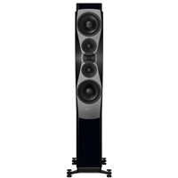 Dynaudio Confidence 60 variant 1