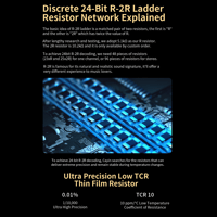 Cayin R01 R-2R Audio Motherboard variant 3