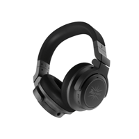 Kiwi Ears Aventus variant 4