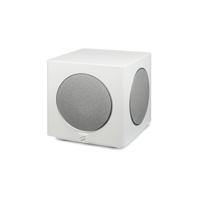 MartinLogan Abyss 10 variant 9