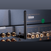 Cayin Jazz 80 variant 5