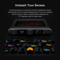 Topping DX9 Discrete variant 15