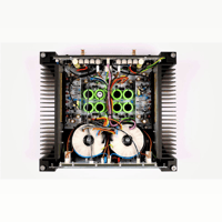 Rega Solis variant 8