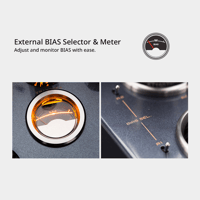 Cayin CS-150A variant 8