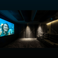 Vicoustic Flat Panel VMT variant 17