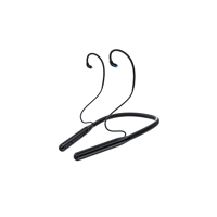 FiiO LC-BT2 variant 7