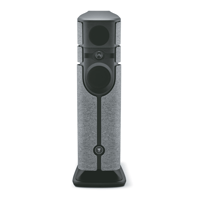 Focal Diva Alta Utopia variant 4