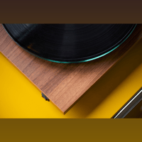 Pro-ject Audio Systems - USA T2 variant 4