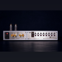 Heaven 11 Audio Billie Amp MK3 Spartan |The Essence of Control variant 2