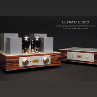 ThivanLabs ULTIMATE 300 – 300B Single-Ended Tube Preamplifier Optical & MM-MC Phono variant 11