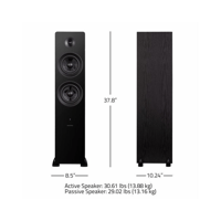 Fluance Ai81 Elite Powered 2-Way Floorstanding Tower Speakers and DB10 10" Low Frequency Ported Front Firing Powered Subwoofer variant 9