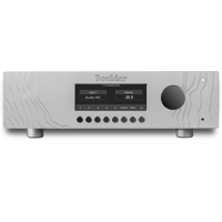Boulder Amplifiers 1110 variant 3