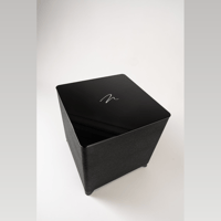 MartinLogan Dynamo Foundation 10 variant 39