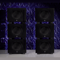 REL Acoustics Carbon Special Black Label variant 11