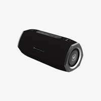 Wharfedale Exson Pro variant 2