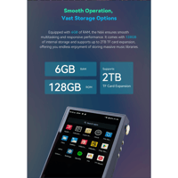 Cayin N6iii R202 variant 12