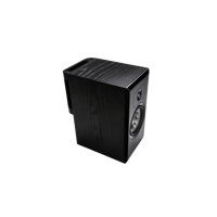 Polk Audio Legend L200 variant 2