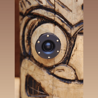 TIKI TUBE AMPS Phil and Lily variant 3