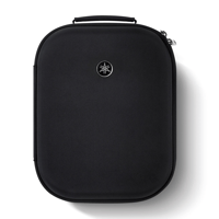 Yamaha CCS-5000 variant 2