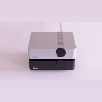 Boenicke p1 variant 1