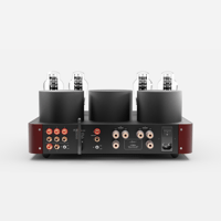 Fezz Audio Lybra 300B variant 5