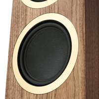 Argon Audio FORTE A55 WIFI variant 8