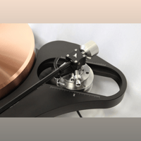 TW-Acustic Raven Anniversary variant 4