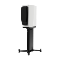 Dynaudio Confidence 20A variant 11