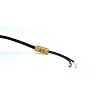 Boenicke S1 variant 1