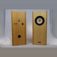 Blumenstein Audio Uni 5" Feastrex Fullrange Monitors (cabinet only or complete speaker) variant 5